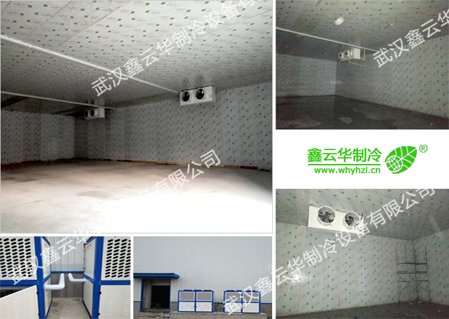 1564105832987606.jpg 1564105832987606.jpg