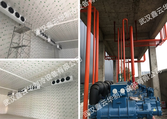 1564119691228440.jpg 1564119691228440.jpg