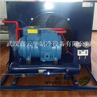 孝感風冷冷凝機組