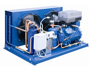 定西風冷型壓縮冷凝機組