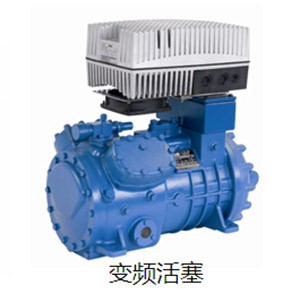 定西變頻活塞