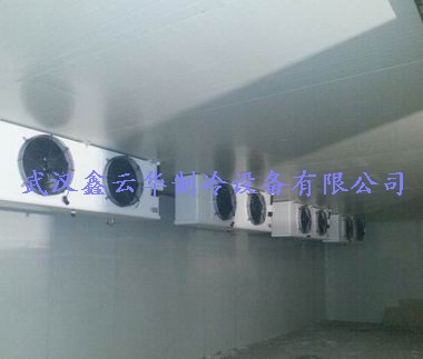 1564556926591153.jpg 1564556926591153.jpg