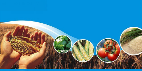 1564561104207750.jpg 1564561104207750.jpg